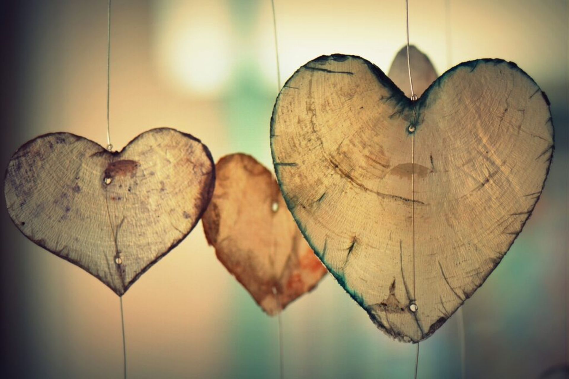curvy dating-SDD-leaves
