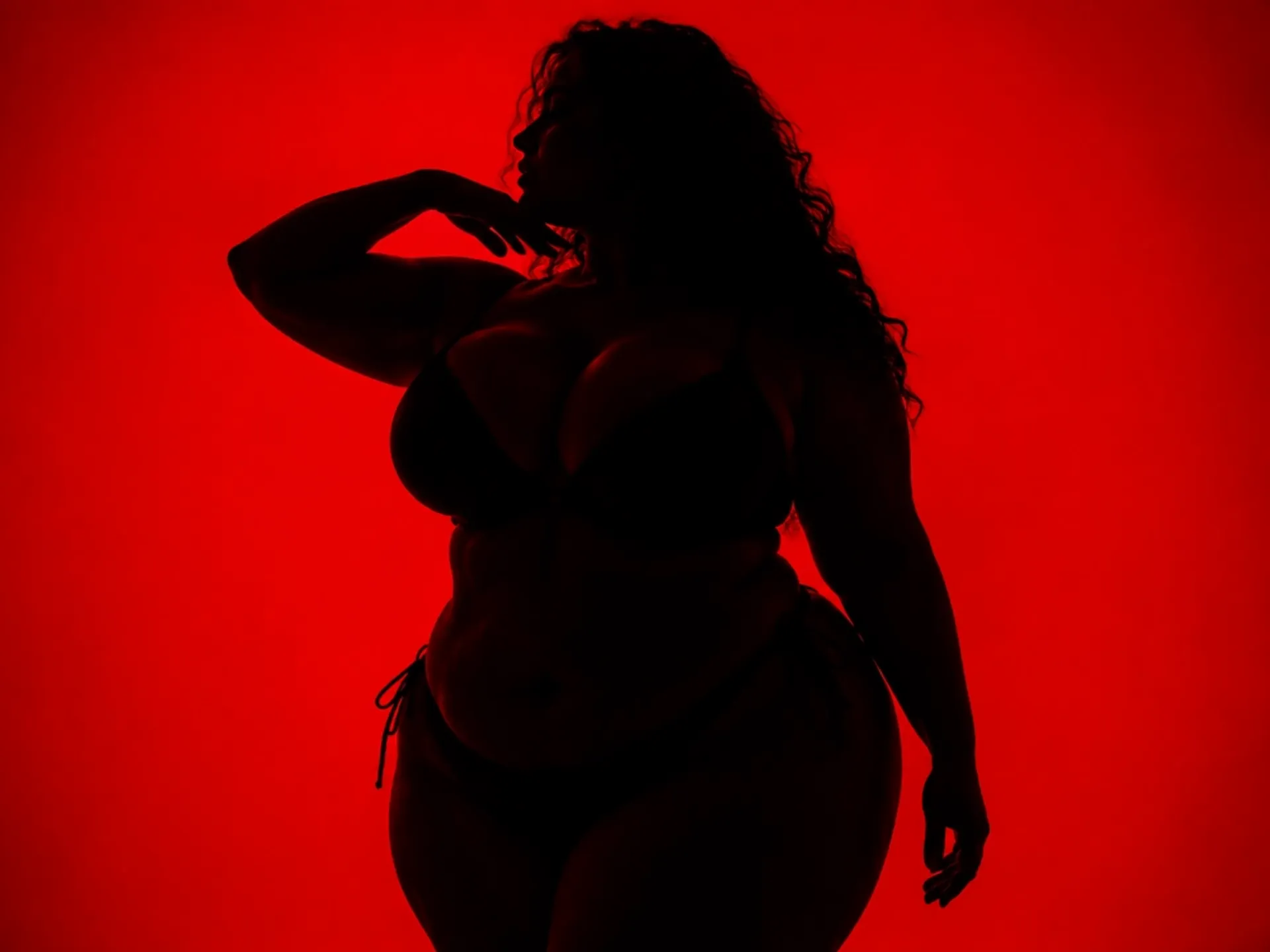 attractive curvy woman silhouette