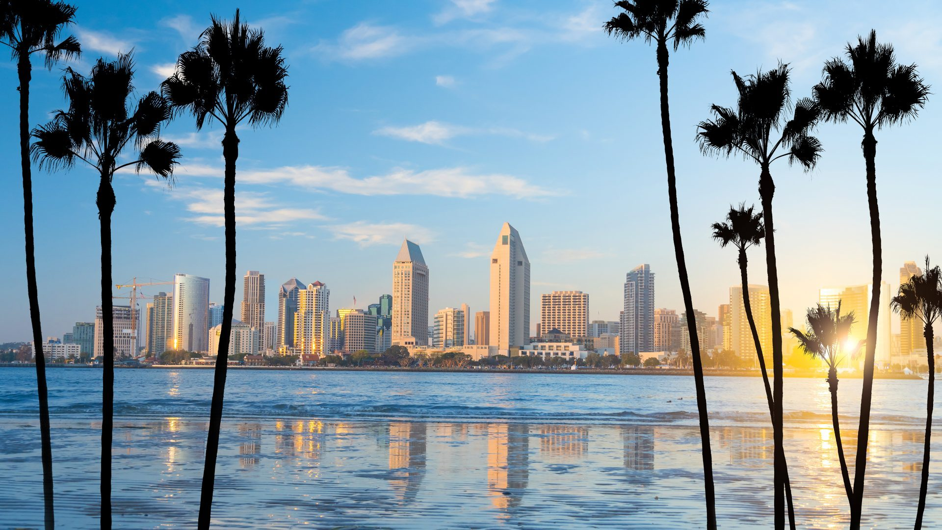 San Diego Personals- Meet & Date Local Singles With WooPlus