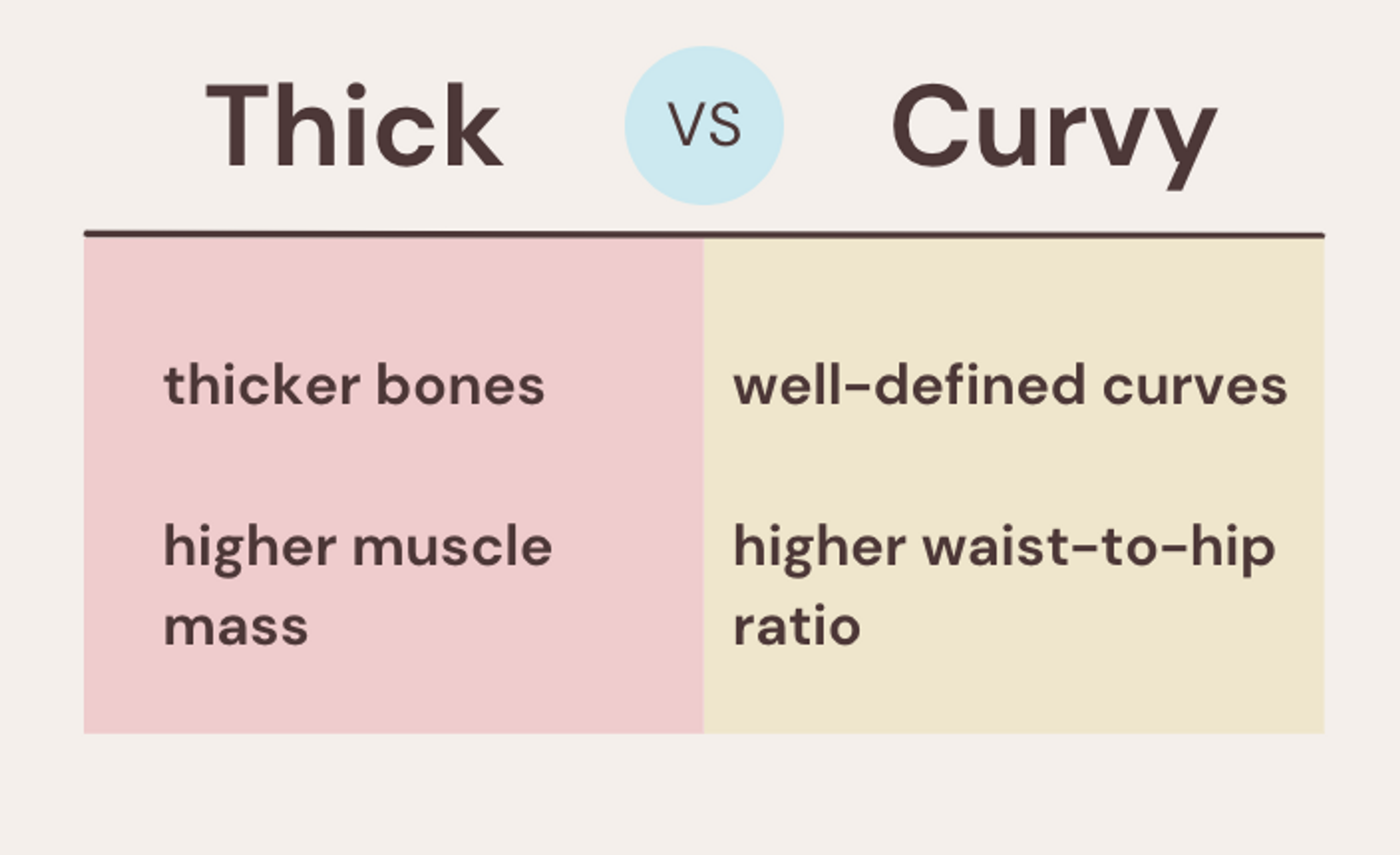 difference between thick and curvy