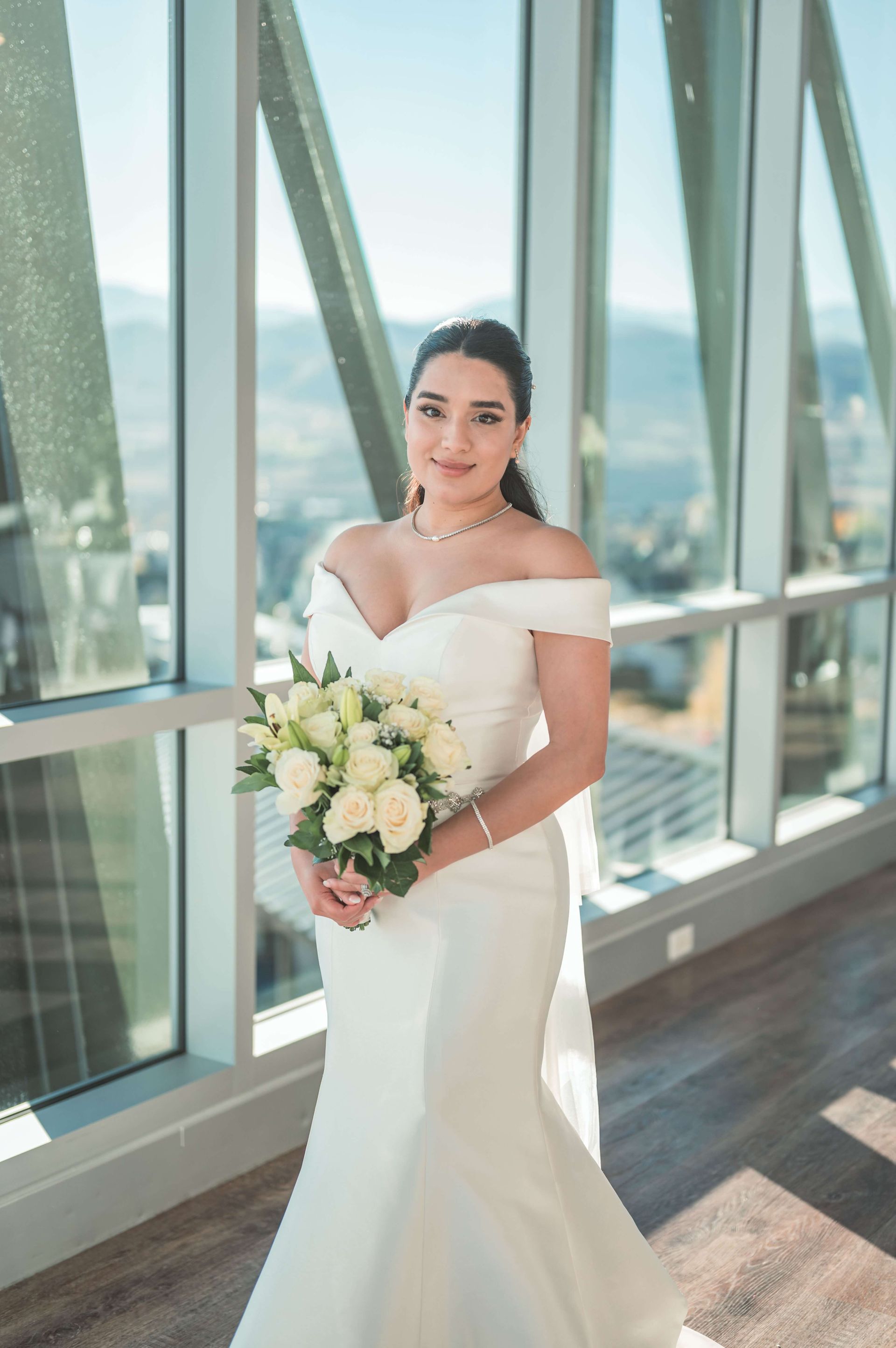 Plus size wedding dress